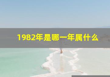 1982年是哪一年属什么