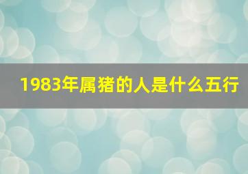 1983年属猪的人是什么五行