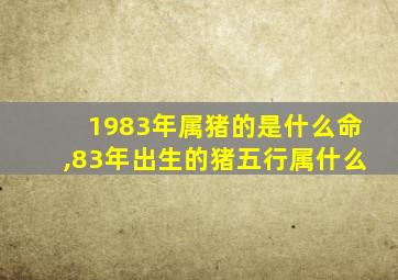 1983年属猪的是什么命,83年出生的猪五行属什么