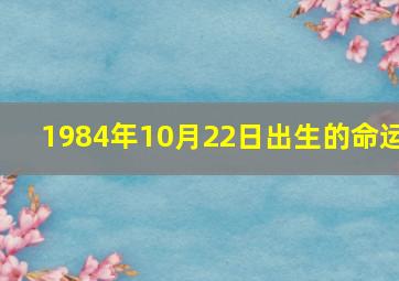 1984年10月22日出生的命运