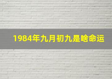 1984年九月初九是啥命运