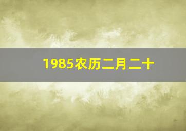 1985农历二月二十