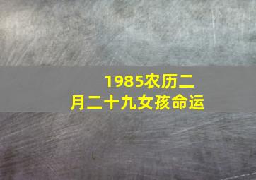 1985农历二月二十九女孩命运