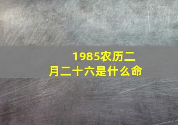 1985农历二月二十六是什么命