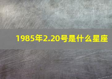 1985年2.20号是什么星座