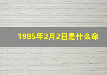 1985年2月2日是什么命