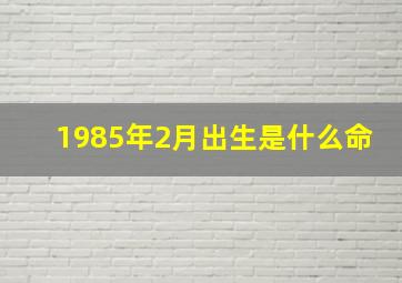 1985年2月出生是什么命