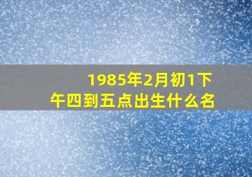 1985年2月初1下午四到五点出生什么名