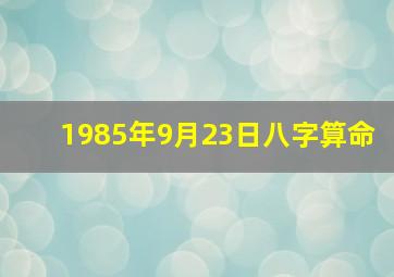 1985年9月23日八字算命