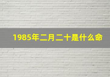 1985年二月二十是什么命