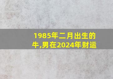 1985年二月出生的牛,男在2024年财运