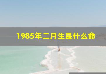 1985年二月生是什么命