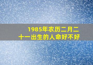 1985年农历二月二十一出生的人命好不好