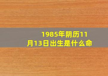 1985年阴历11月13日出生是什么命