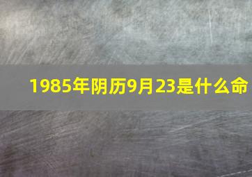 1985年阴历9月23是什么命