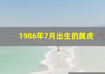 1986年7月出生的属虎