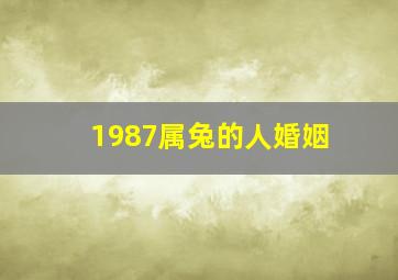 1987属兔的人婚姻