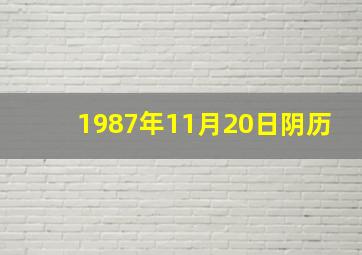 1987年11月20日阴历