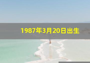 1987年3月20日出生