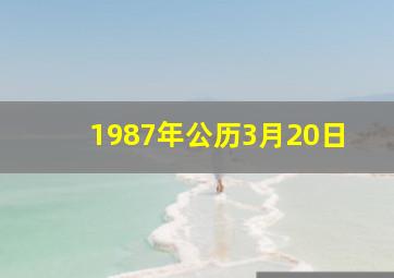 1987年公历3月20日