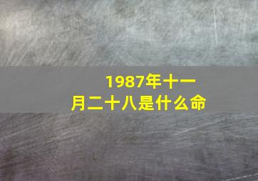 1987年十一月二十八是什么命