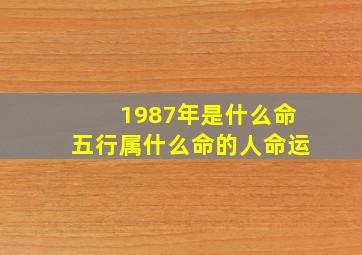 1987年是什么命五行属什么命的人命运