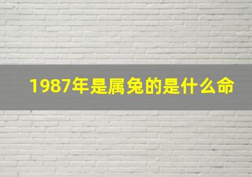 1987年是属兔的是什么命