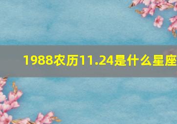 1988农历11.24是什么星座