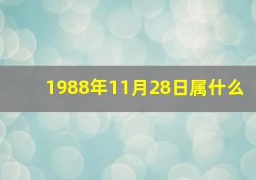 1988年11月28日属什么