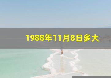 1988年11月8日多大