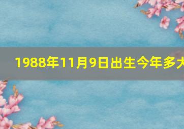 1988年11月9日出生今年多大