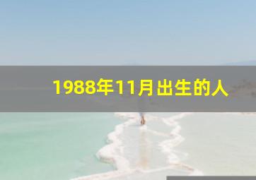 1988年11月出生的人