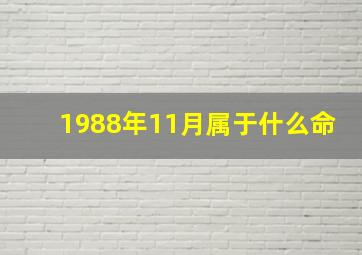 1988年11月属于什么命