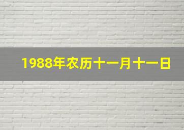 1988年农历十一月十一日