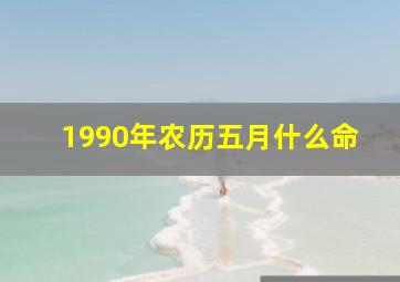 1990年农历五月什么命