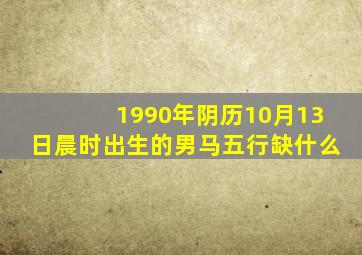 1990年阴历10月13日晨时出生的男马五行缺什么