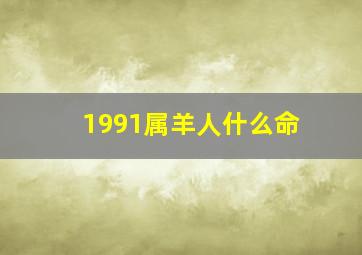 1991属羊人什么命