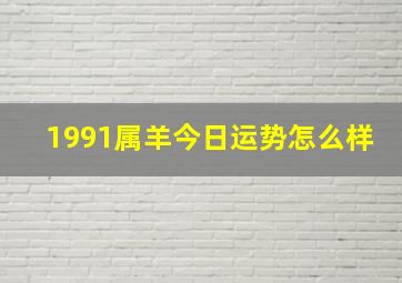 1991属羊今日运势怎么样