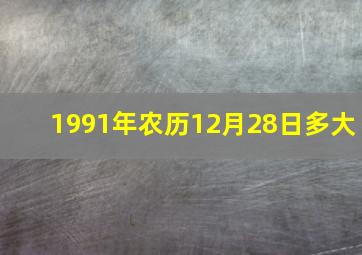 1991年农历12月28日多大