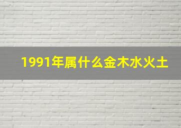 1991年属什么金木水火土