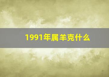 1991年属羊克什么