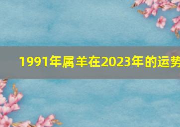 1991年属羊在2023年的运势