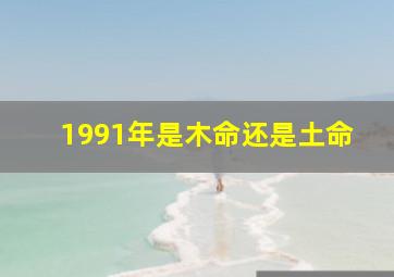 1991年是木命还是土命