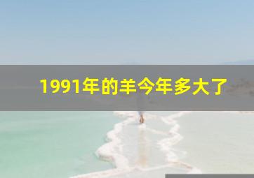 1991年的羊今年多大了