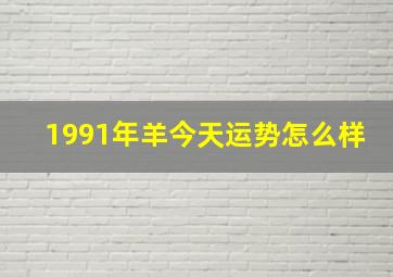 1991年羊今天运势怎么样