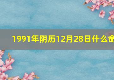 1991年阴历12月28日什么命