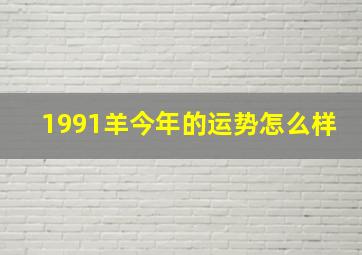 1991羊今年的运势怎么样