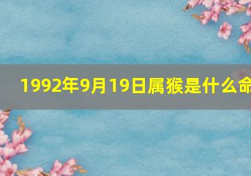 1992年9月19日属猴是什么命