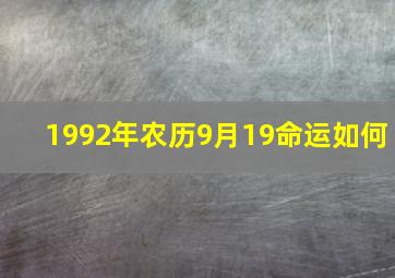 1992年农历9月19命运如何