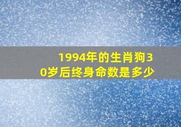 1994年的生肖狗30岁后终身命数是多少